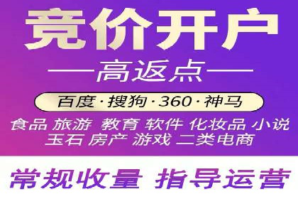 搜索引擎关键词竞价排名的策略调整与案例