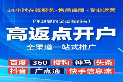 SEM竞价推广案例：打造行业领先的广告投放策略